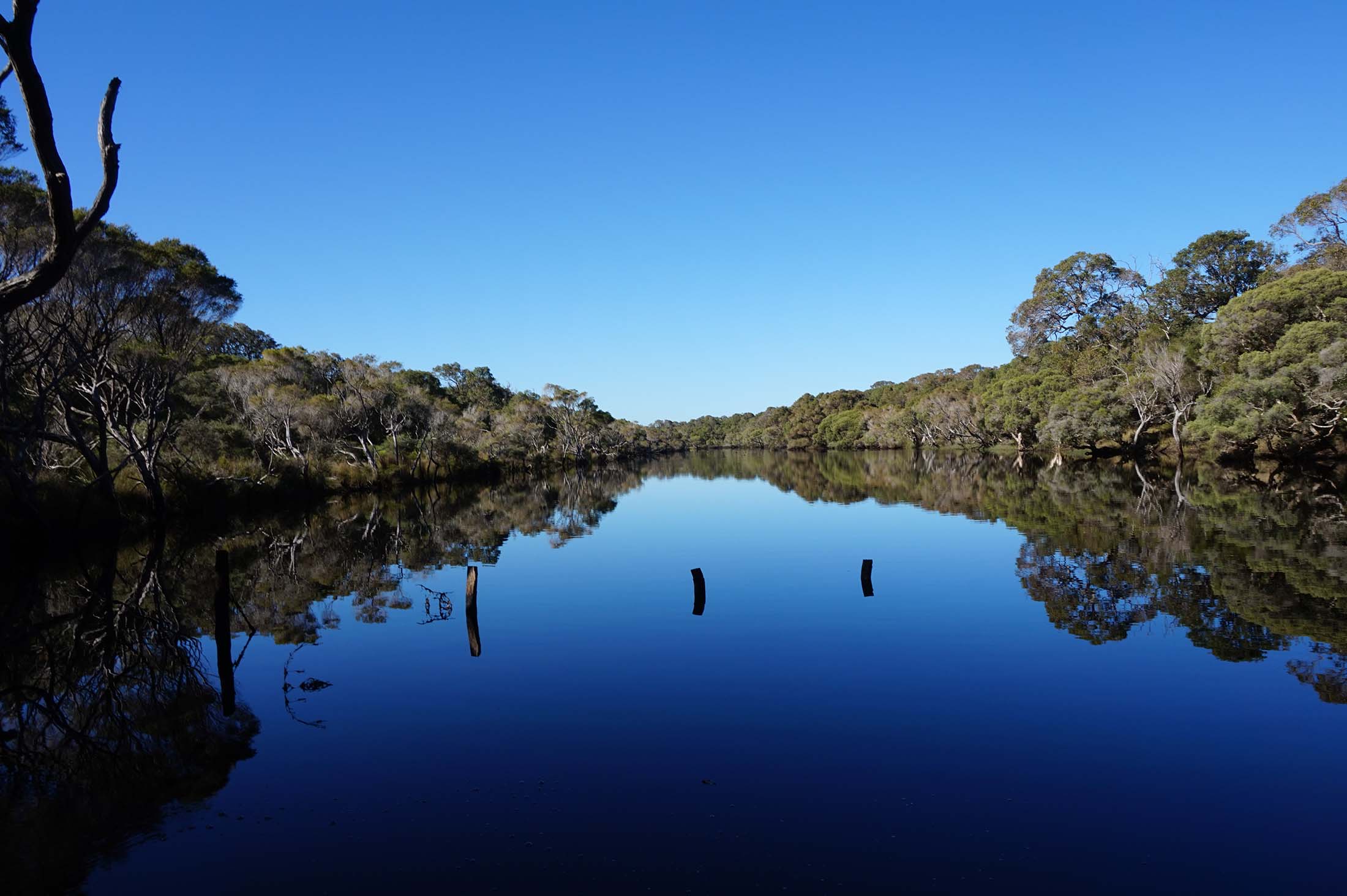 White Point Wagyu located on Scott River
