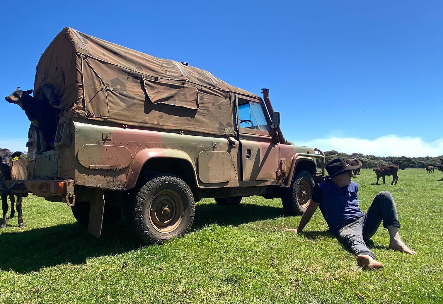 About Us - White Point Wagyu, Scott River Western Australia